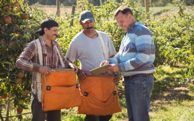 Seasonal Labor Markets Need More Than Faster Matching