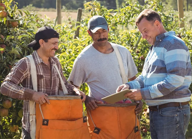 Seasonal pictures for blog_cut Seasonal labor market demand connecting people, skills and mobility with job opportunities.